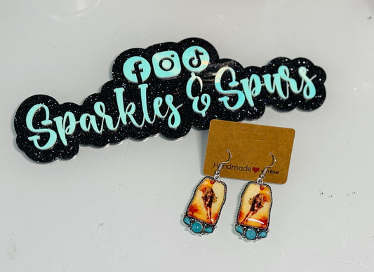 Resin Western Earrings